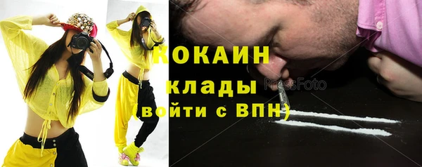 шишки Аркадак