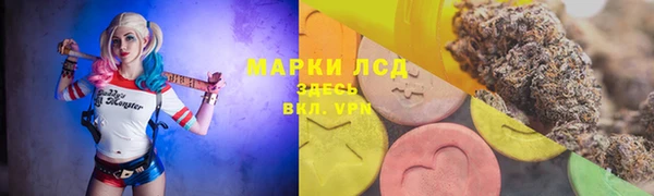 шишки Аркадак