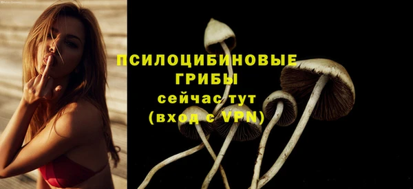 дживик Армянск