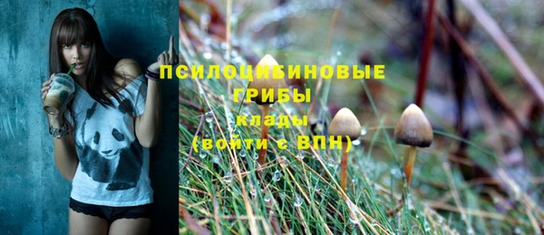 a pvp Арсеньев